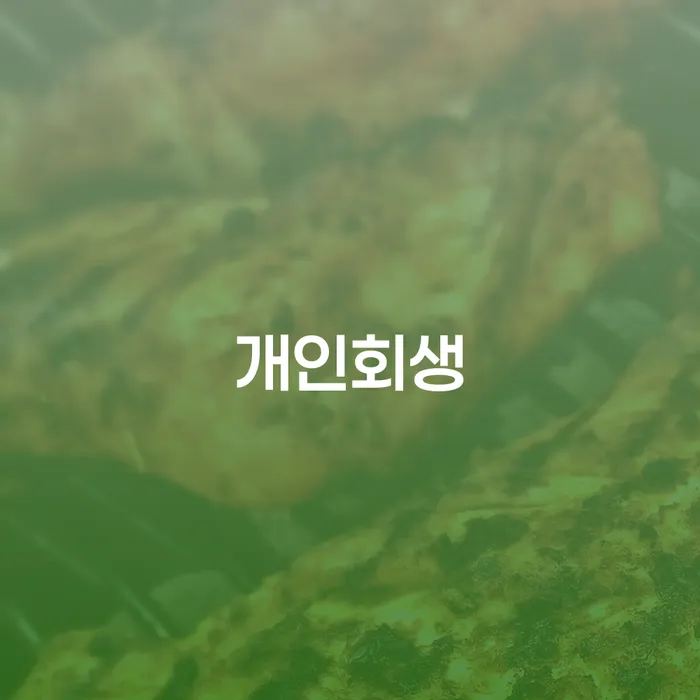 통장가압류 빚 합법적인 빠른방법 체크리스트