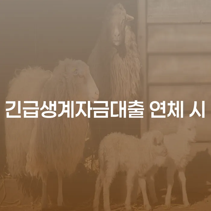 개인회생문의 대출 받은 돈채무조정 무료상담