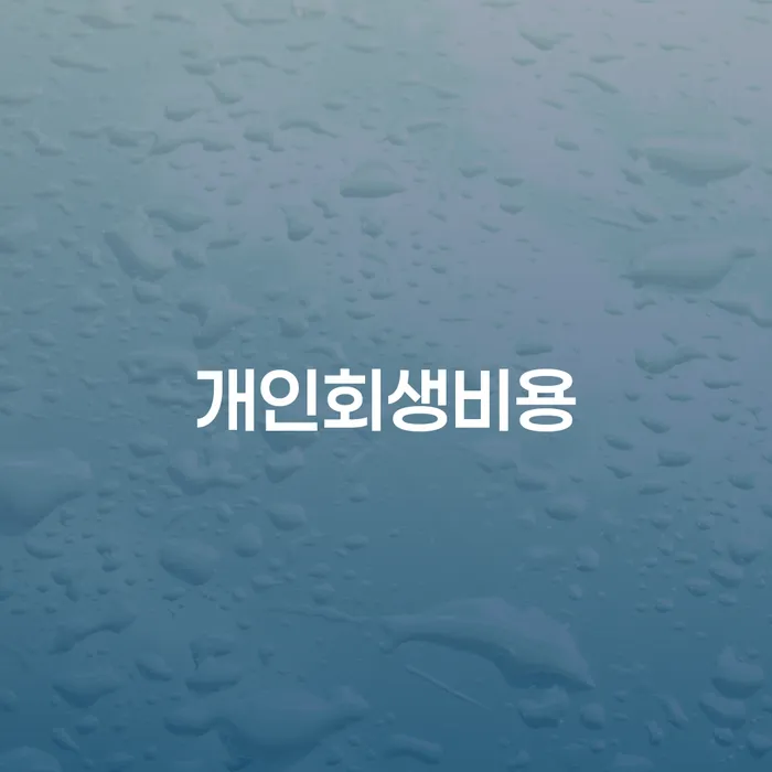 개인파산개인회생 빚 해결할 장점을