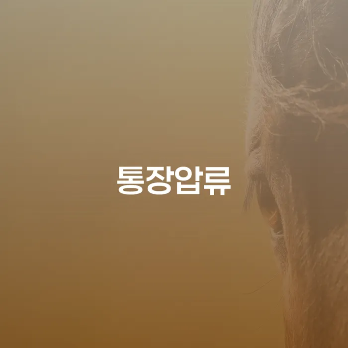 채무 개인회생 문제해결방법 실제사례