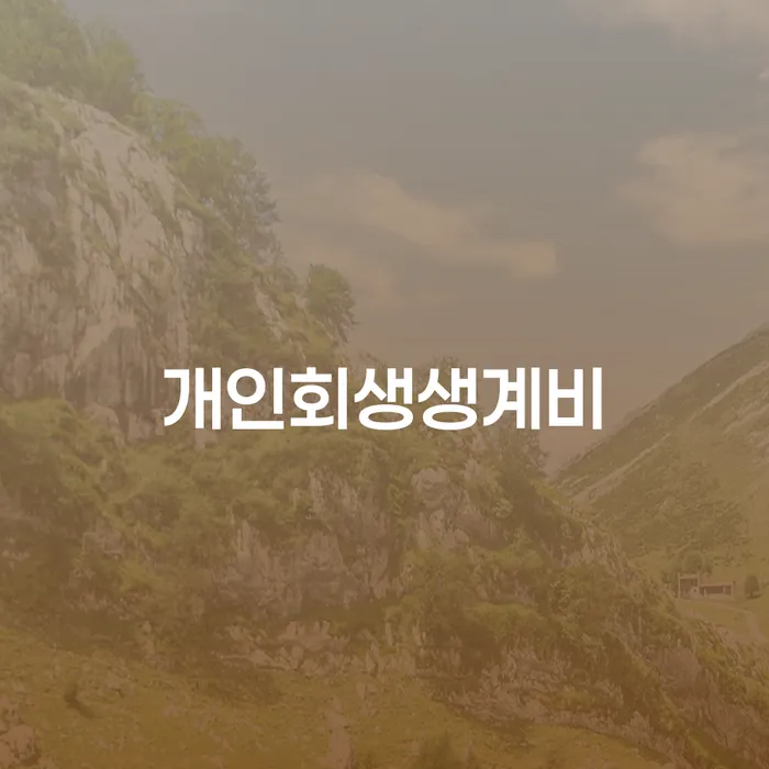 개인회생 빚 해결할 숙지하여