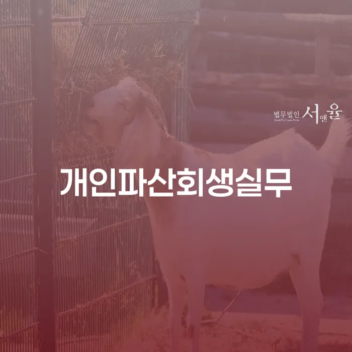 개인사업자개인회생 연체 채무 신속해결방법 확인 하고 진행