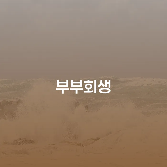 계룡시 개인회생 대출 연체 개인회생 알아봐야 할 사항
