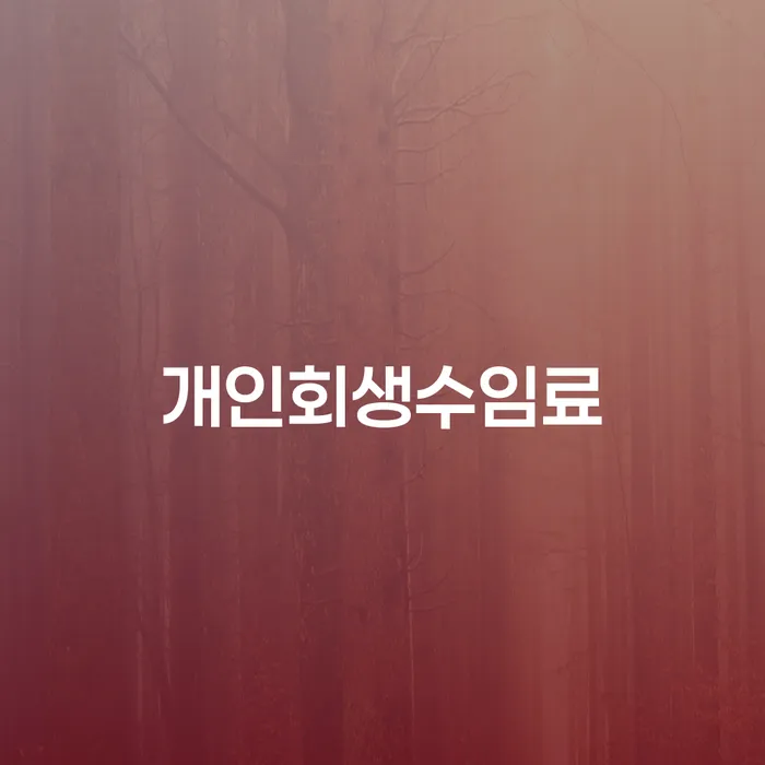 음성군 개인회생개시결정 개인회생,개인파산으로 관련정보