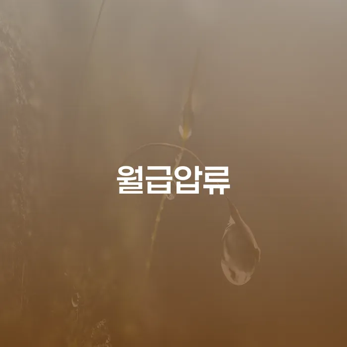 영주시 회생비용 저렴하고 빚 해결할 있는지확인