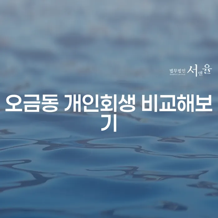 오금동 개인회생 비교해보기