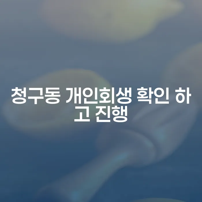청구동 개인회생 확인 하고 진행