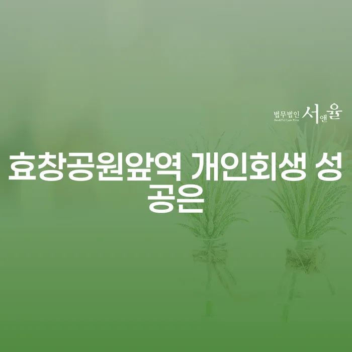 효창공원앞역 개인회생 성공은