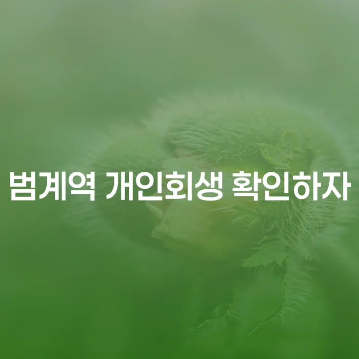 범계역 개인회생 확인하자