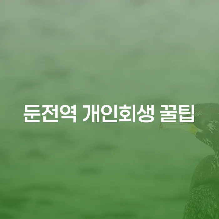 둔전역 개인회생 꿀팁