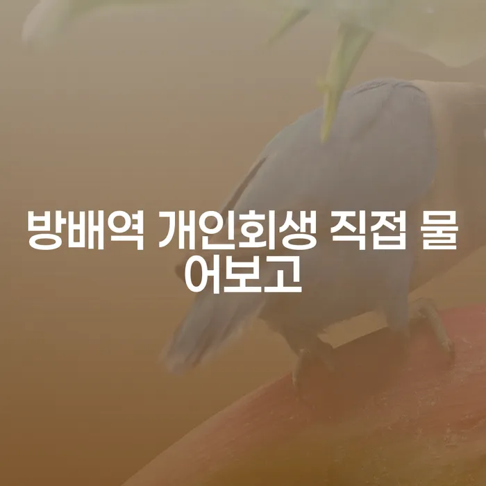 방배역 개인회생 직접 물어보고