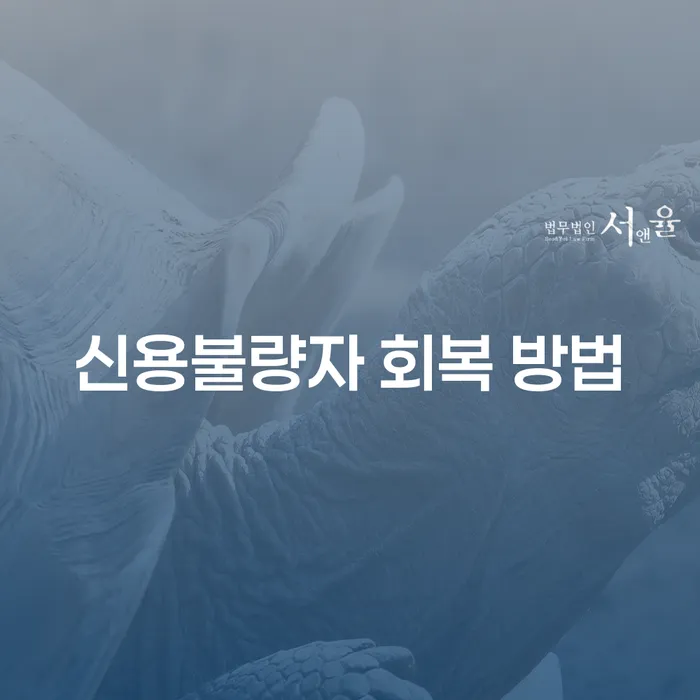 신용불량자를 위한 회복 방법, 나에게 맞는 선택지는?