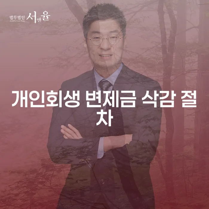 개인회생 변제금 삭감 절차: 어떻게 희망을 찾을 수 있을까요?