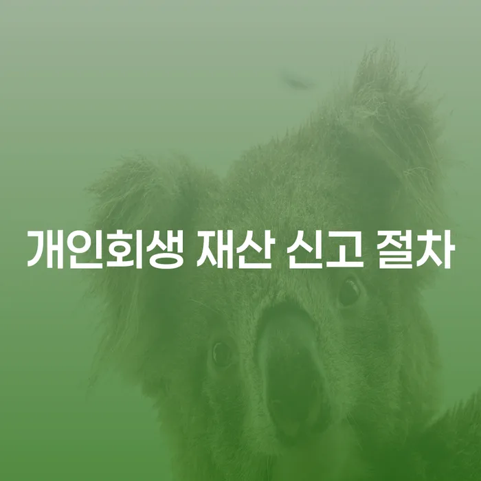 개인회생 재산 신고 절차: 어떻게 준비해야 할까요?