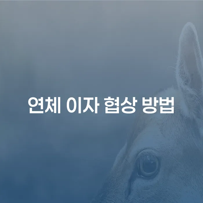 연체 이자 협상 방법, 어떻게 하면 성공할 수 있을까요?