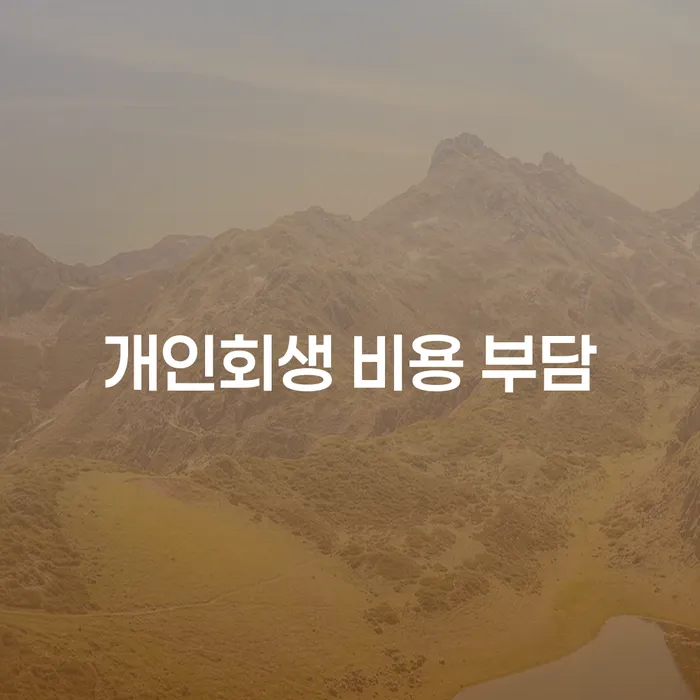 개인회생 비용 부담 어떻게 줄일 수 있을까요?