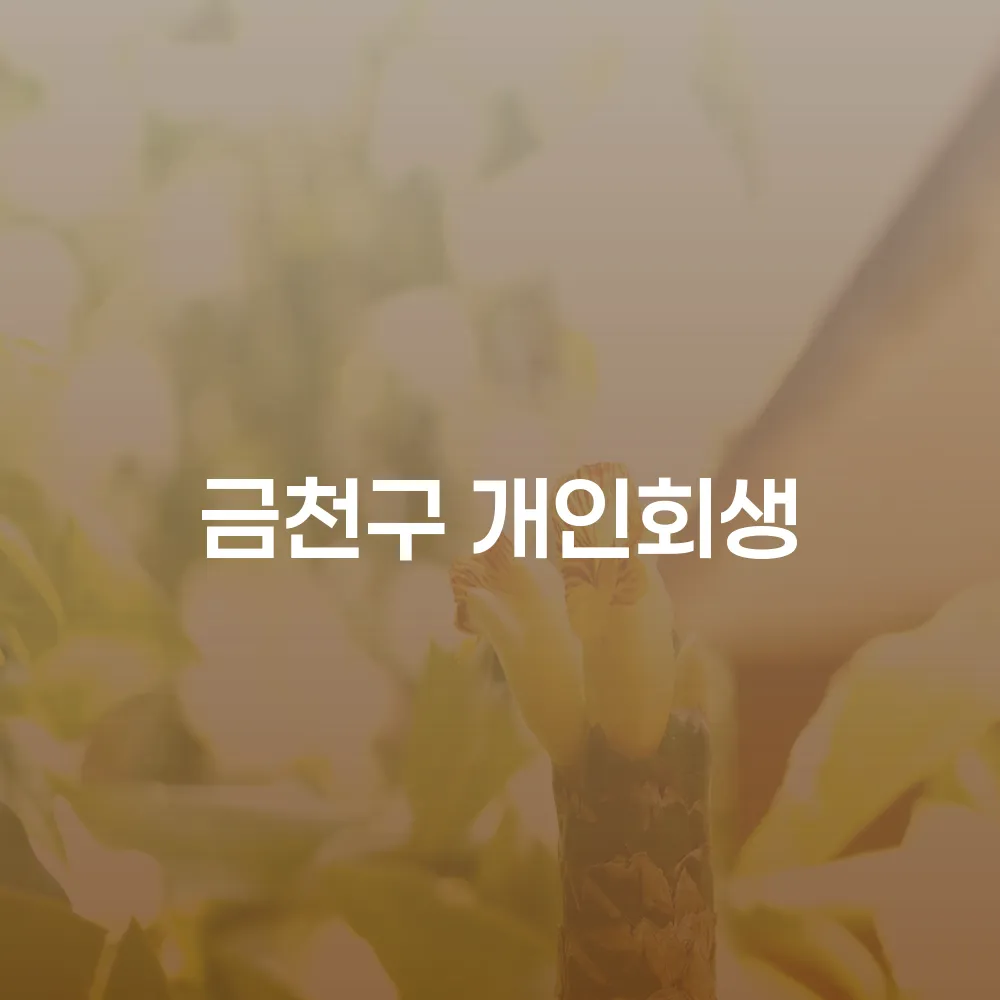 금천구 개인회생을 통해 경제적 재기를 이루는 방법