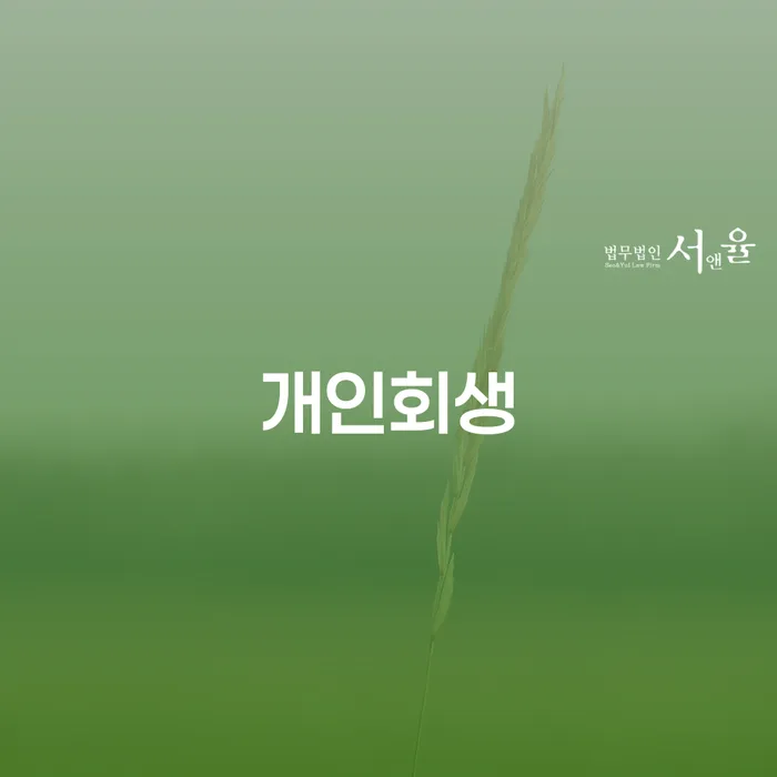 수영 개인회생 절차와 성공 사례 분석
