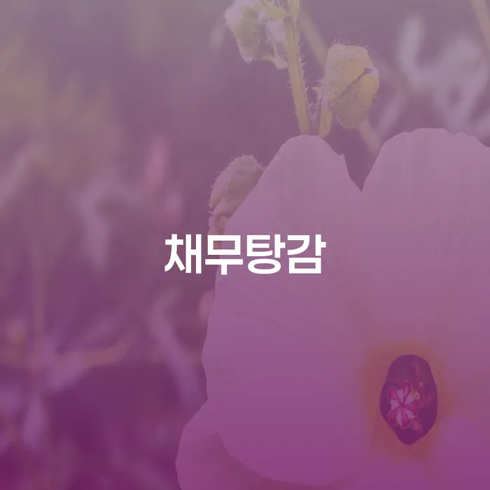 27살 대출빚 6950만원 채무탕감 가능할까요?