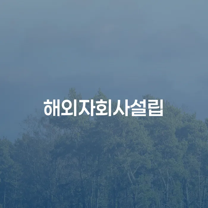해외 자회사 설립, 주식 리딩방 사기와 개인 회생의 관계는?