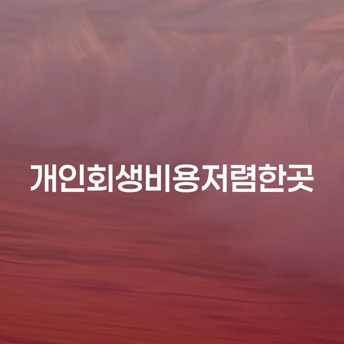개인회생비용저렴한곳을 찾는 방법과 절차는 무엇인가요?