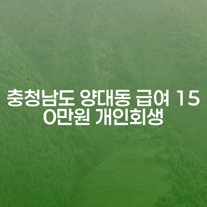 충청남도 양대동에서 월급 150만원으로 개인회생 가능할까요?