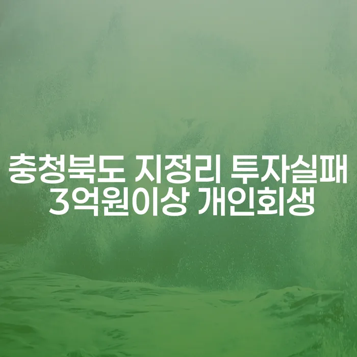 충청북도 지정리에서 3억원 이상의 투자실패, 개인회생과 개인파산으로 해결할 수 있을까요?