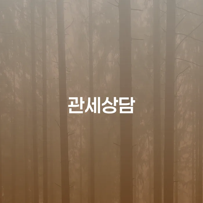 관세상담과 개인회생: 채무로부터의 탈출 전략은?