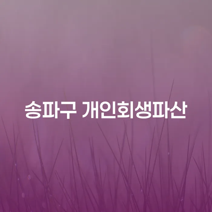 개인회생과 파산, 송파구에서의 선택은 어떻게 해야 할까요?